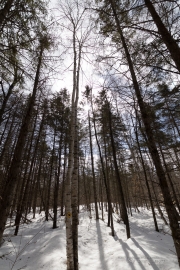Hiking Samples-8