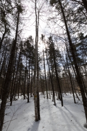 Hiking Samples-9