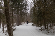 Quebec Samples-14