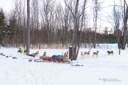 Quebec Samples-31
