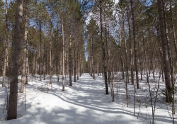 Hiking Samples-27