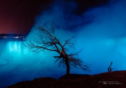 The Sentinel of Niagara