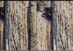 100mm Wide Open Middle