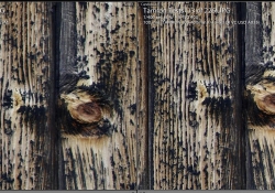 100mm Wide Open Right
