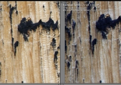 400mm f8 LEft
