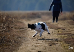 Tracking-2