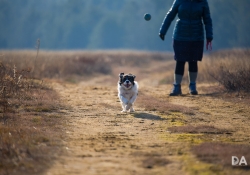 Stopping Action (Tamron 100-400mm VC)