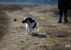Tracking-4
