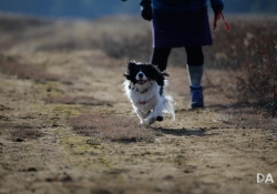 Tracking-5