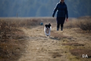 New Tamron shots-13