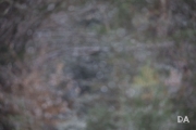 Snow Samples-2