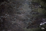 Snow Samples-3