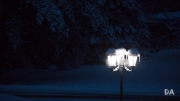 Snow Samples-8
