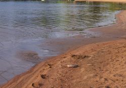 34-18mm-Real-World-3