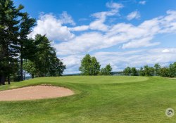 41-Golf
