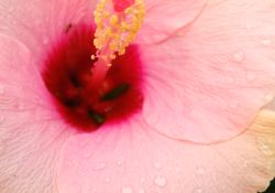 24-20mm-close-2