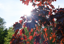 27-Flare-5