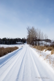 Image Samples-11