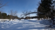 Image Samples-12