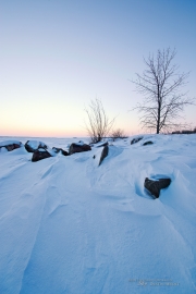 Image Samples-23