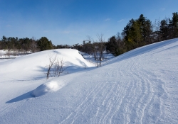 Image Samples-13