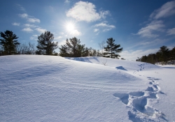 Pristine
