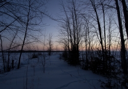 Image Samples-16
