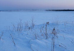 Image Samples-18