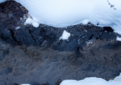 Image Samples-2