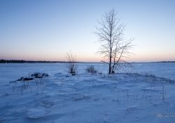 Image Samples-20