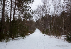 Image Samples-5