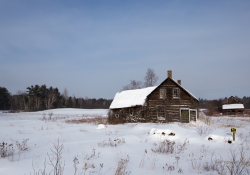 Image Samples-7