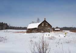 Image Samples-8