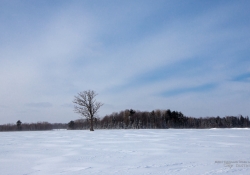 Image Samples-9