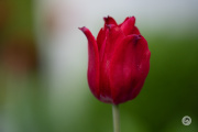 A057-Samples-23