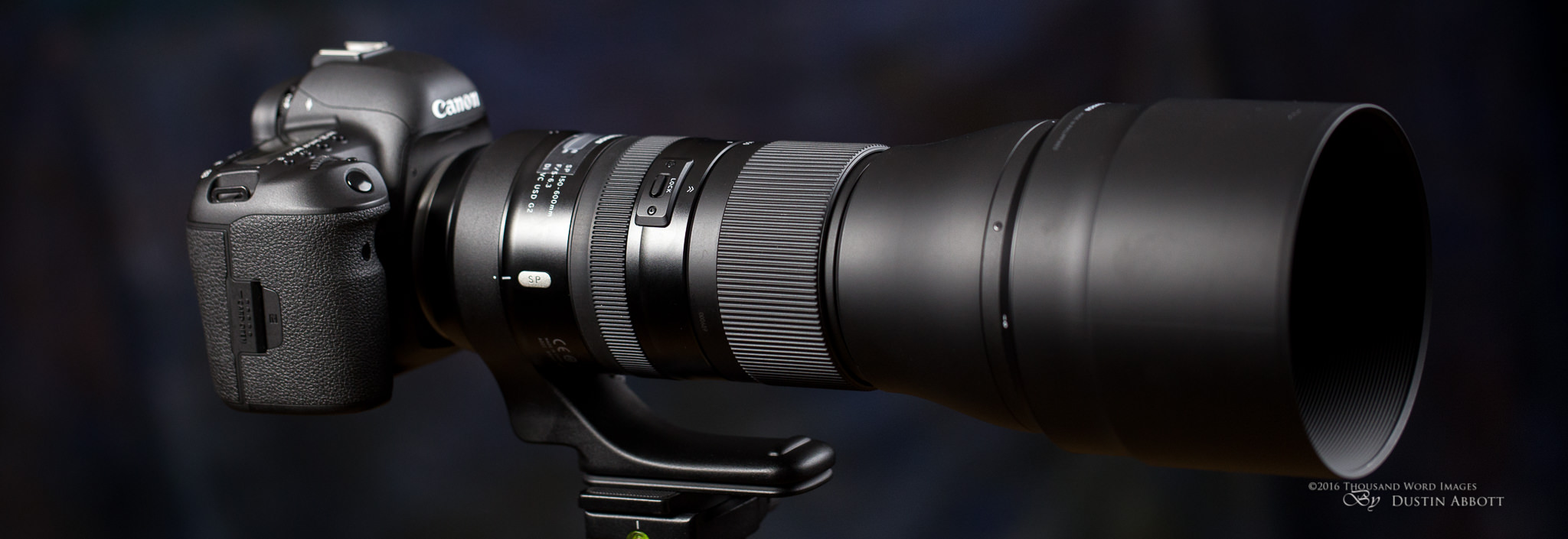 Tamron SP 150-600mm f/5-6.3 Di VC USD G2 Review - DustinAbbott.net