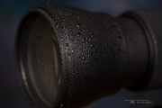 Tamron 150-600 G2-17