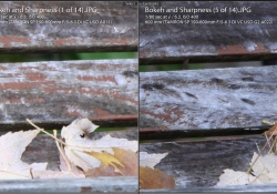 Sharpness Comparo