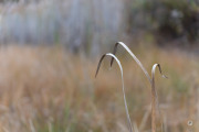 52-Gallery-10