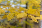 52-Gallery-13