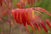 52-Gallery-5