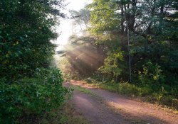 31-28mm-Landscapes-3 31-28mm-Landscapes-3