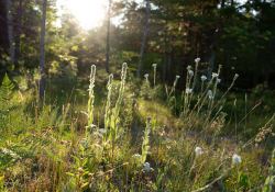 31-28mm-Landscapes-4 31-28mm-Landscapes-4