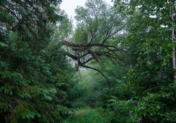 31-28mm-Landscapes-6 31-28mm-Landscapes-6