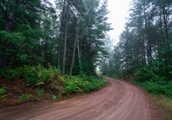 Foggy-Dawn-7 Foggy-Dawn-7