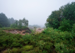 Foggy-Dawn-8 Foggy-Dawn-8