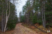 Black Bay-3
