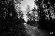 Black Bay-5