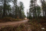 Black Bay-6