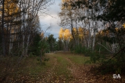 Early Morning